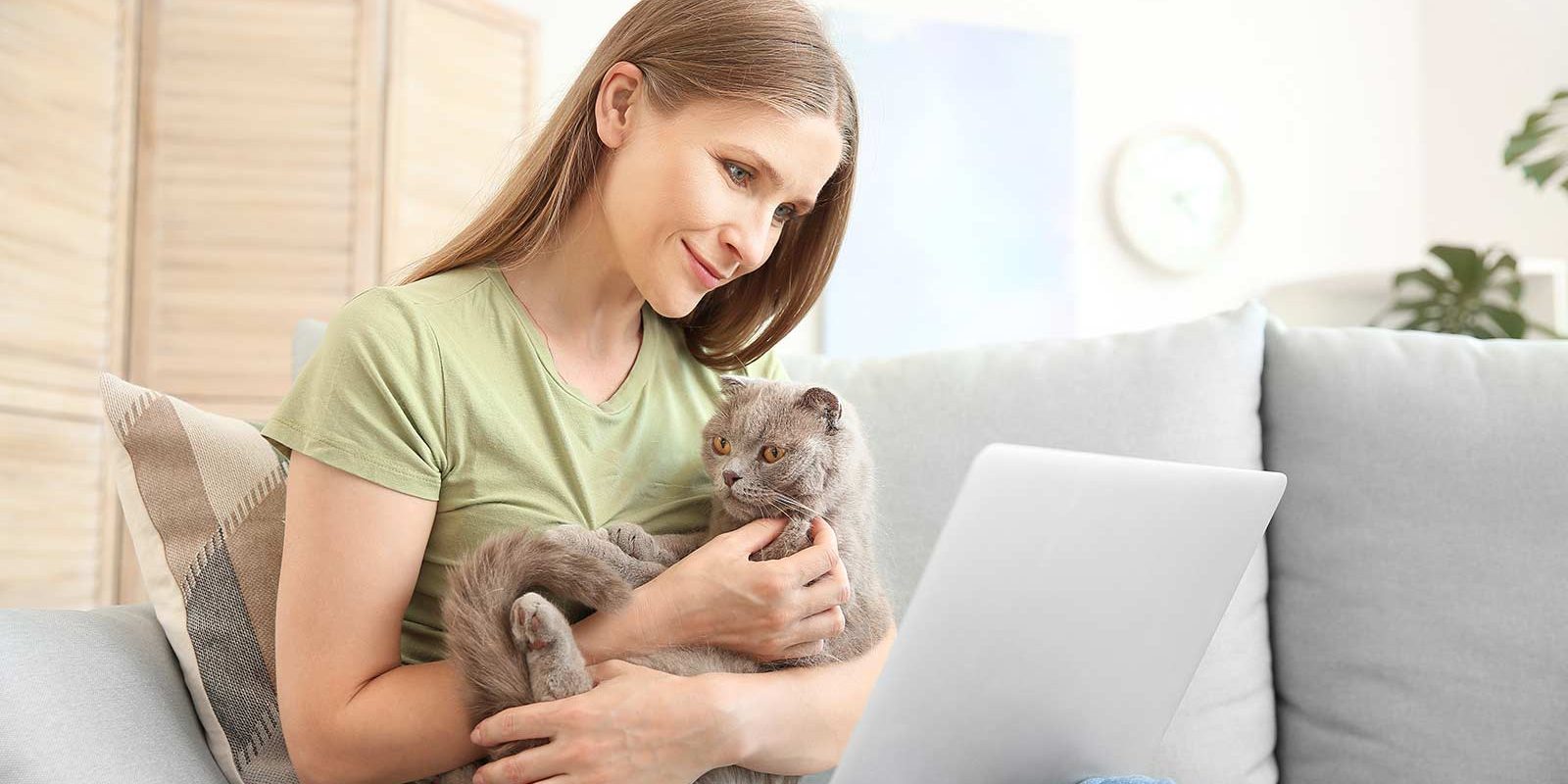 Woman with pet cat using petpaks website online laptop