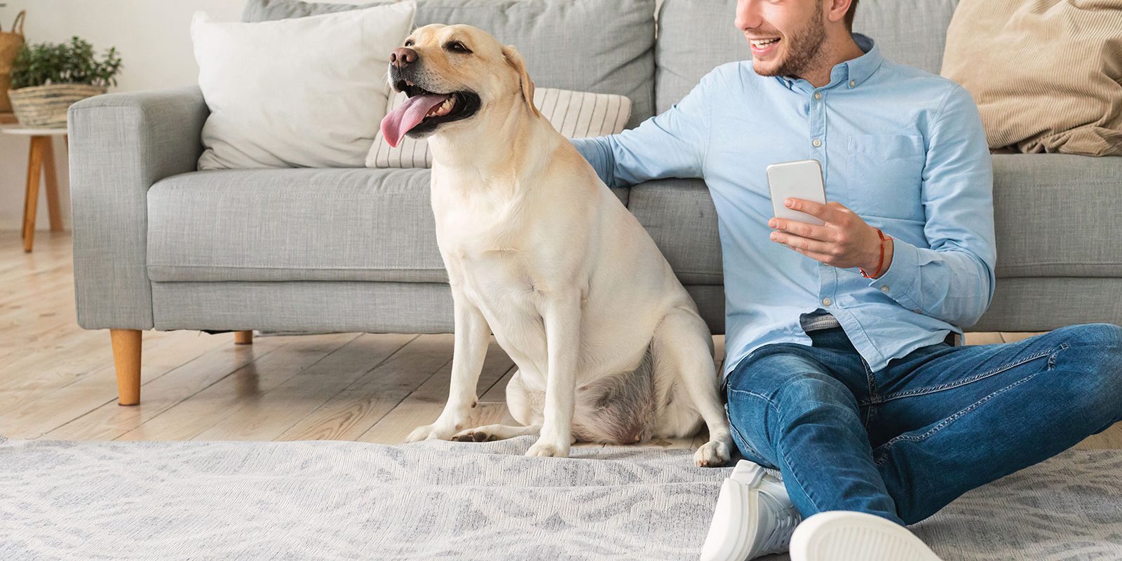 man-with-dog-in-living-room Man with phone sitting with his dog in his living room